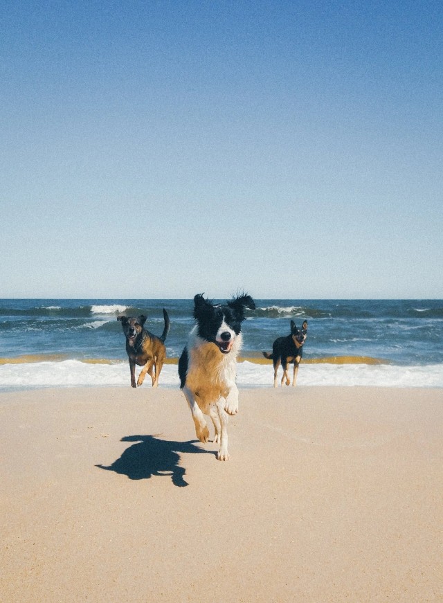 Нуштош 16.03.23