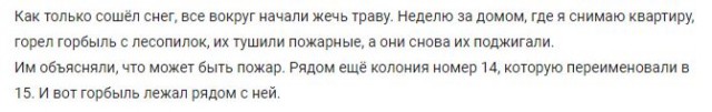 МЧС показало населенные пункты Свердловской области, которые пострадали от пожаров