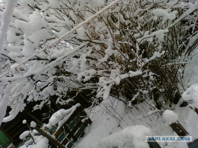 Почистил телефон