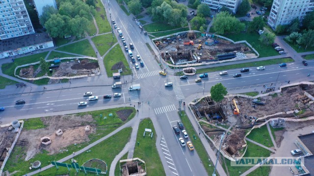 Пешеход! Умирая на пешеходном переходе ПОМНИ: Ты был прав!⁠⁠