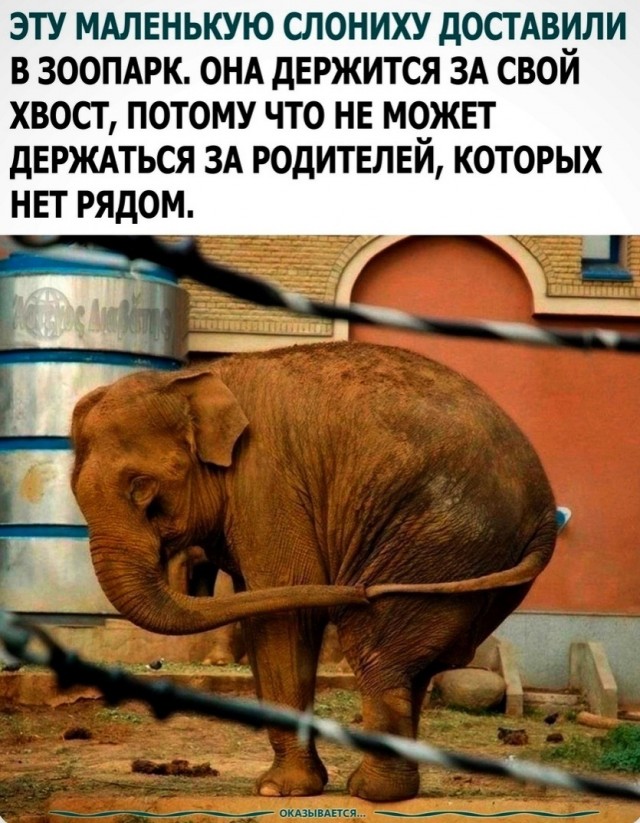 Так себе картинки 17.04.24