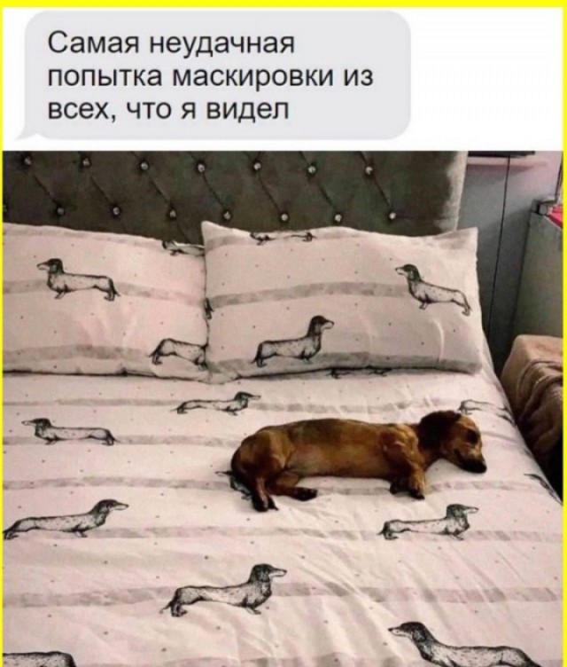 Пятничные тРРРидцать тРРРи