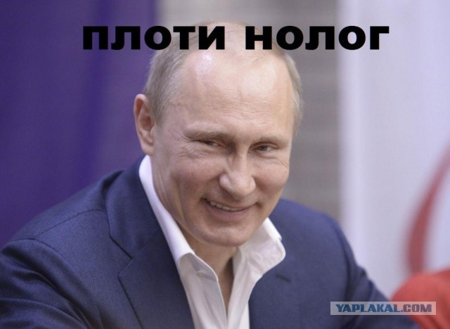 Докладываю с черничных угодий