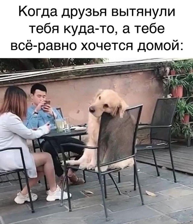 Завалялось тут случайно немного забавных картинок