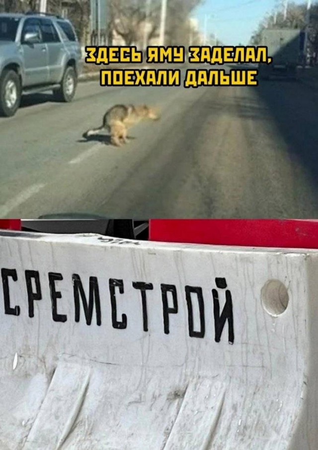 Нуштош 16.08.2024