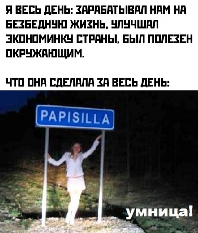 Весёлый полтишок 22.11.24