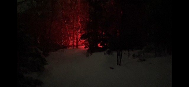 Сегодня - зимнее солнцестояние