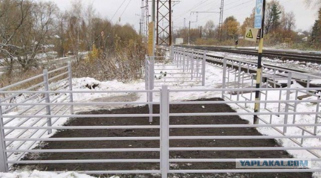 И пусть весь мир подождёт