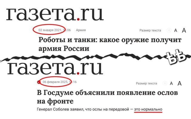 Генерал Соболев заявил, что ослы на передовой — это нормально