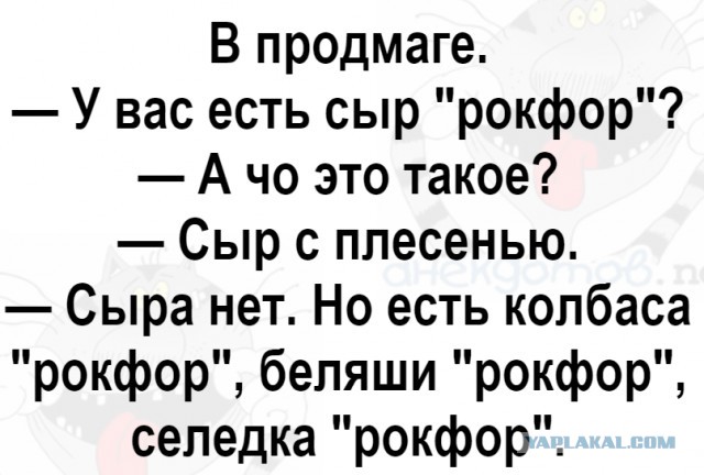 Черепашки...⁠⁠
