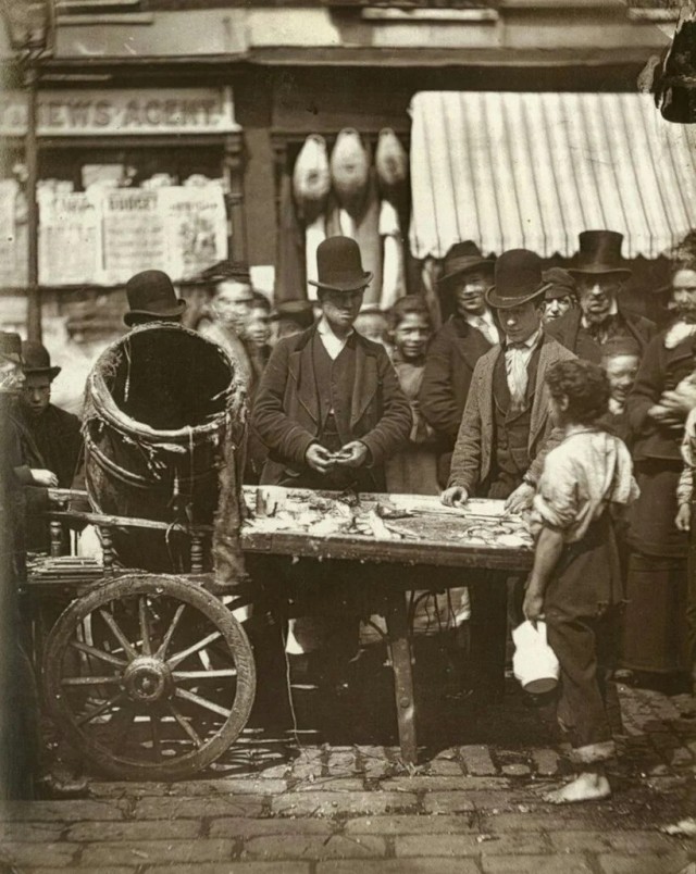 Захватывающие исторические фотографии, на которые которые стоит взглянуть