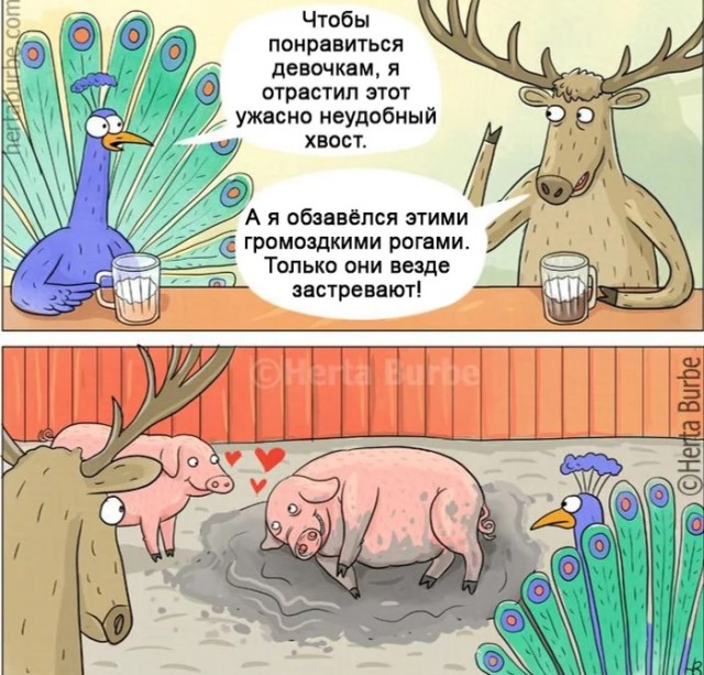 Так себе картинки 11.05.25