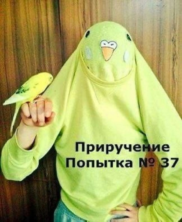 Так себе картинки 17.05.25