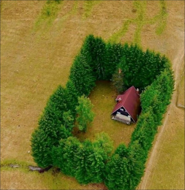 ФотоВинегрет