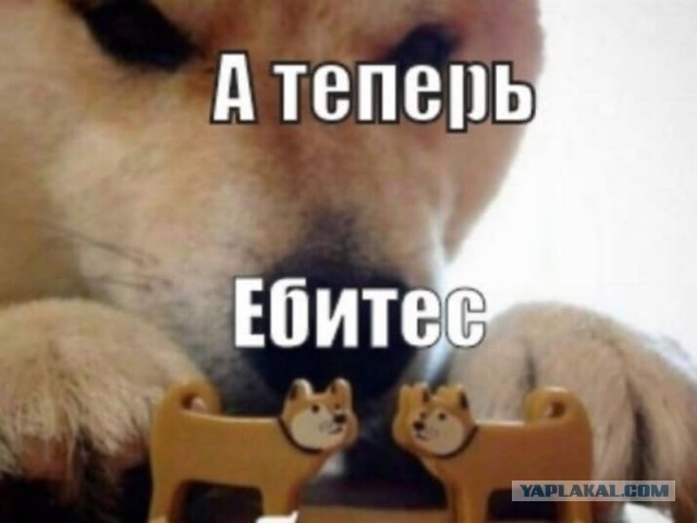 Путин: коэффициент рождаемости как минимум должен составлять 2,1 на одну женщину