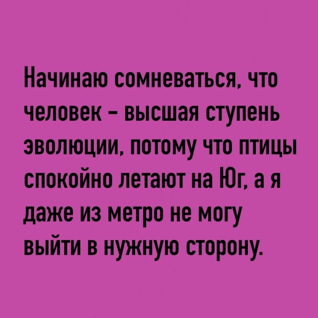 Так себе картинки 28.07.25