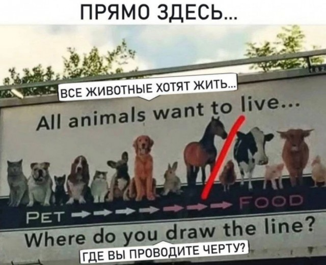 Немного картинок 31.07.25