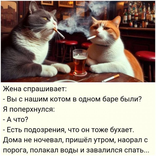 Прикольные и просто красивые картинки 14.11.2025