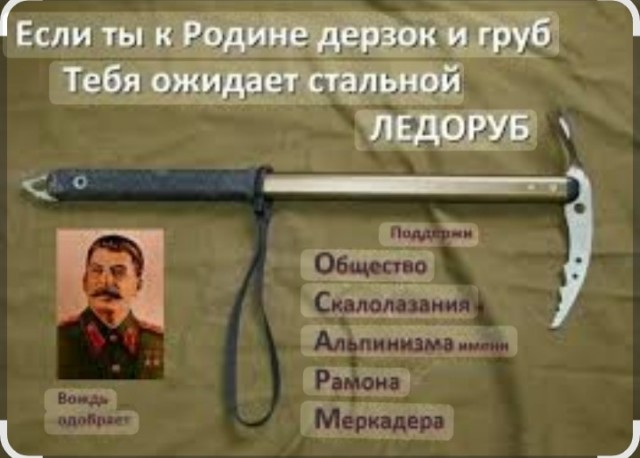 Стальной и железный рыцари революции на одном фото