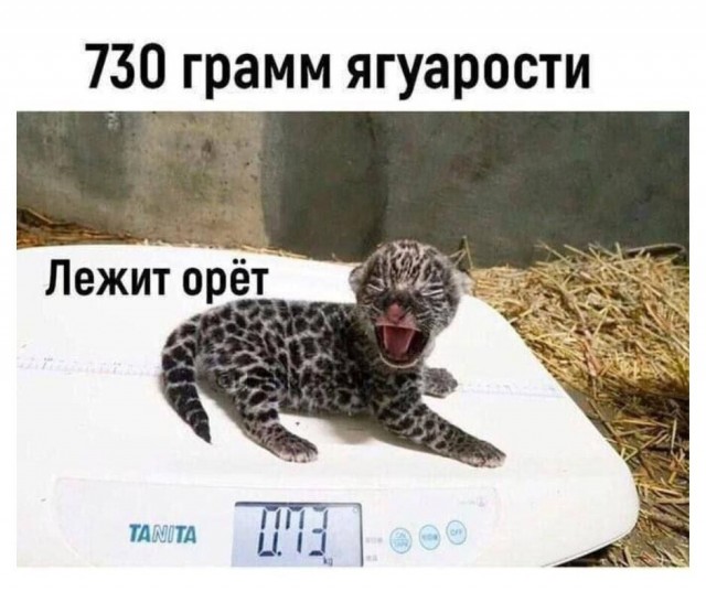 Четверговые картинки
