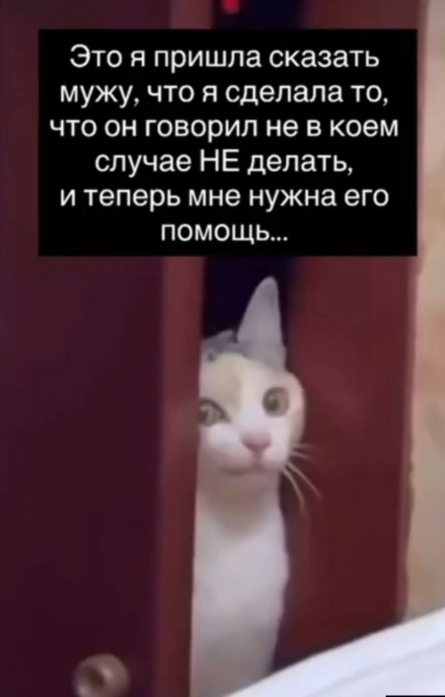 Среды картинки