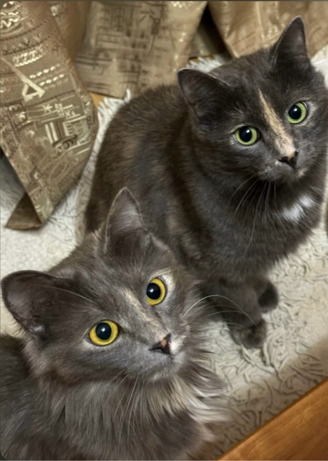 Безымянная извечная битва