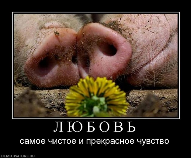 Склад баянов