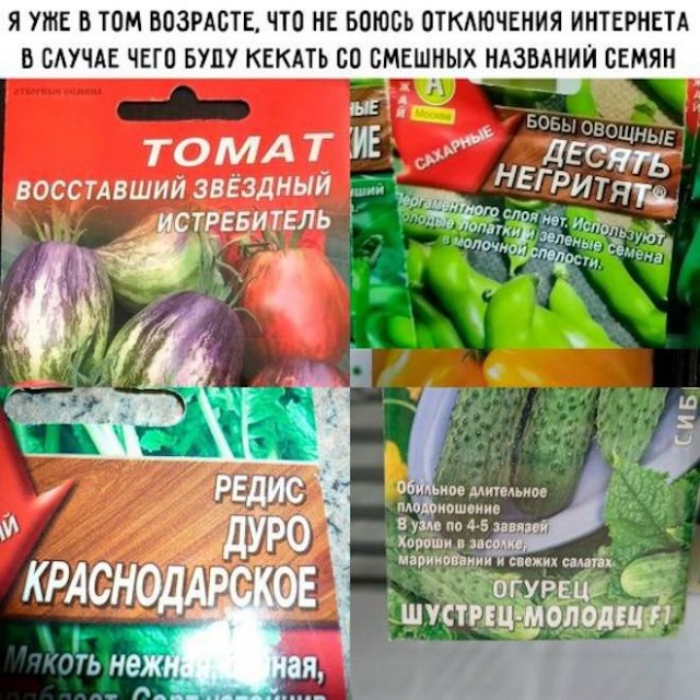 Картинки для деградации 160 (разной степени свежести)