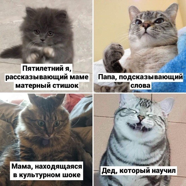 Картинки для деградации 194 (разной степени свежести)