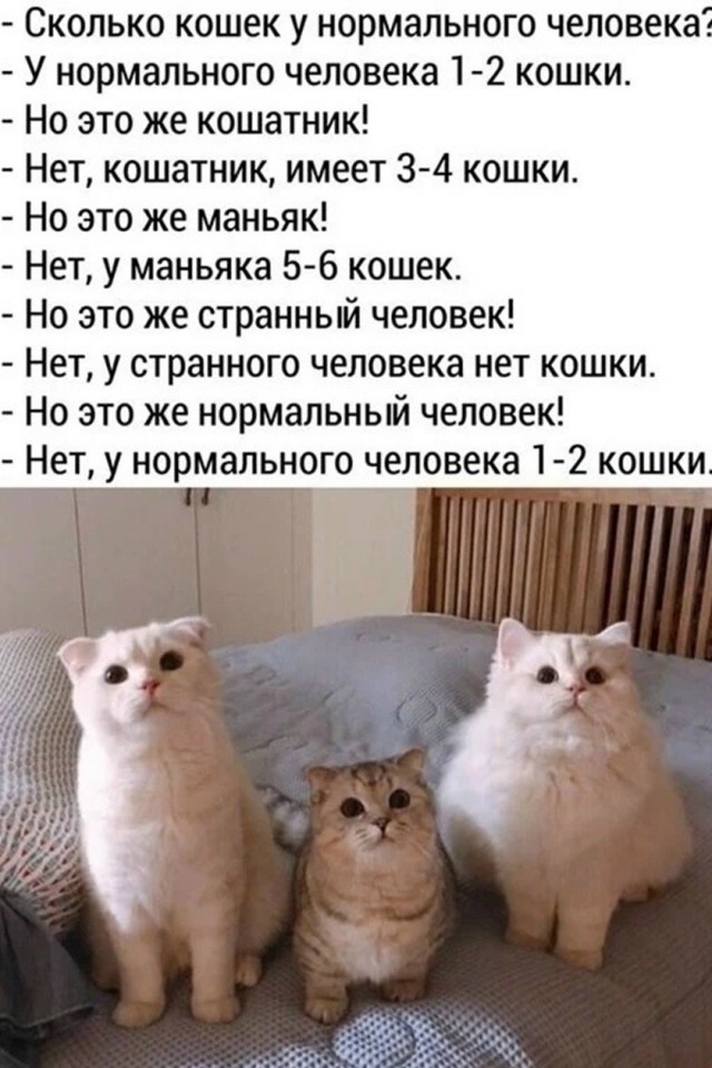 Так себе картинки 10.09.26