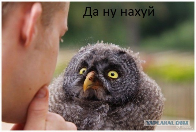 У атомной станции поймана огромная рыба