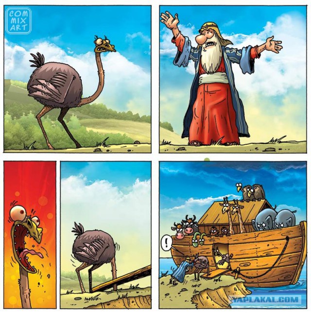 Про страуса..