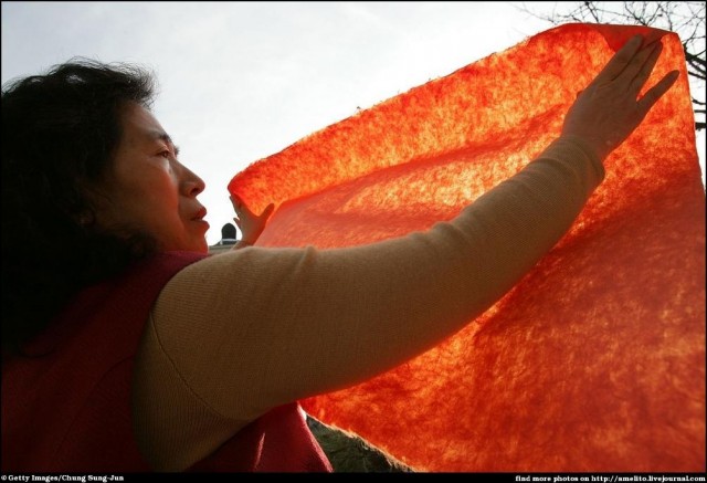 Как делают хэнчжи (29 фото)