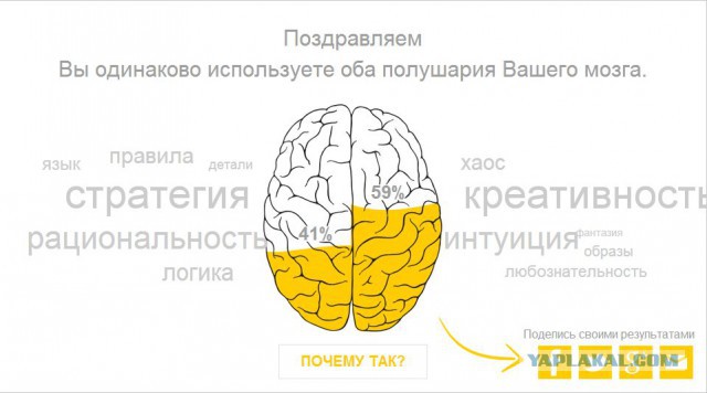 Тест - Левое или Правое.