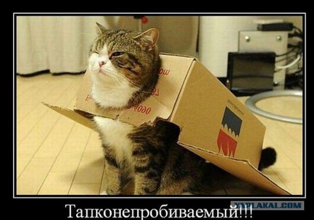Не про олимпиаду