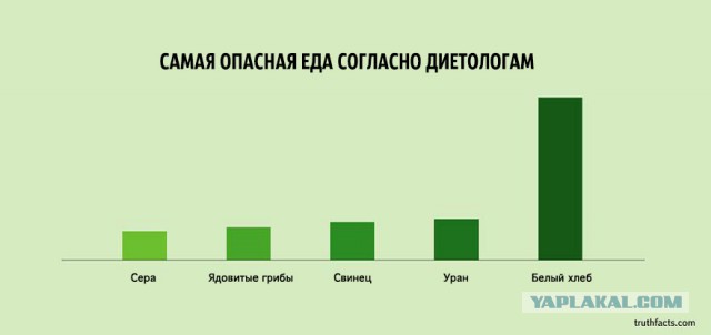 33 ироничных факта о нашей жизни в графиках