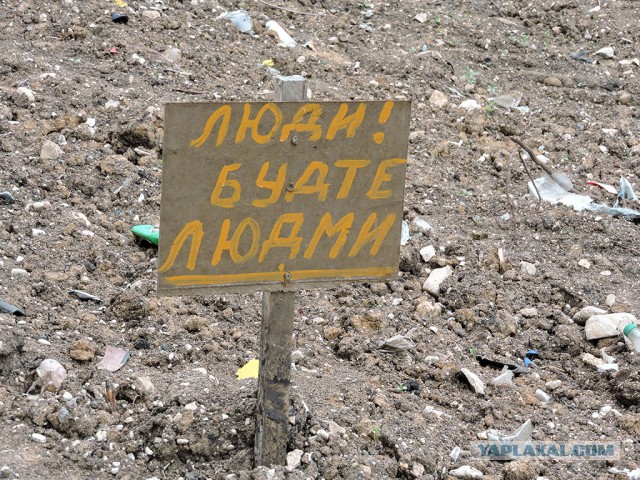 Иногда ошибки просто с ума сводят