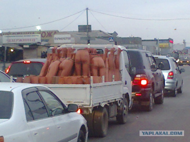 Фотоприколы