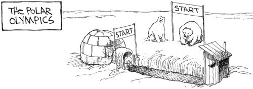 Полярные олимпийские игры