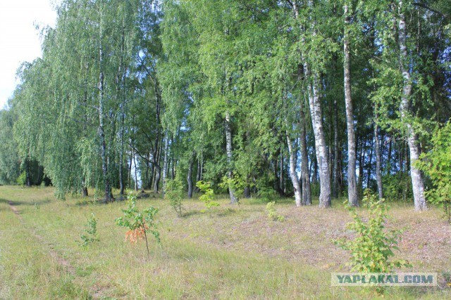 Село Борисоглебское