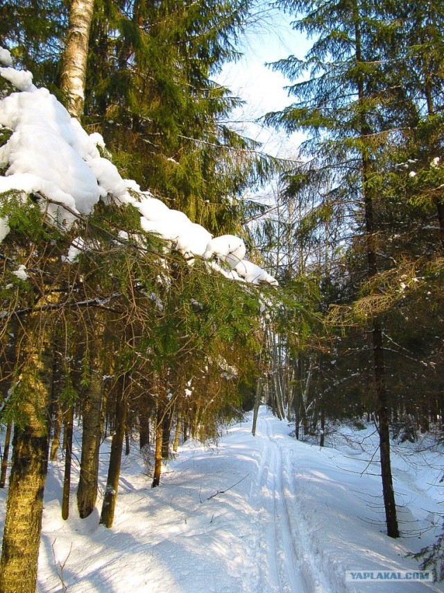 Половина лета.