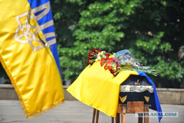 Новая форма Вооруженных Сил Украины