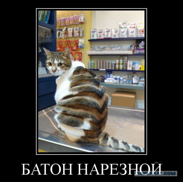 Подборка демотиваторов