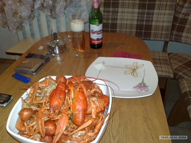 Решили мы как-то попить Пыва с раками!