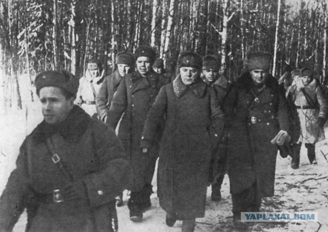 Фото с мест Волховской битвы (Вермахт)