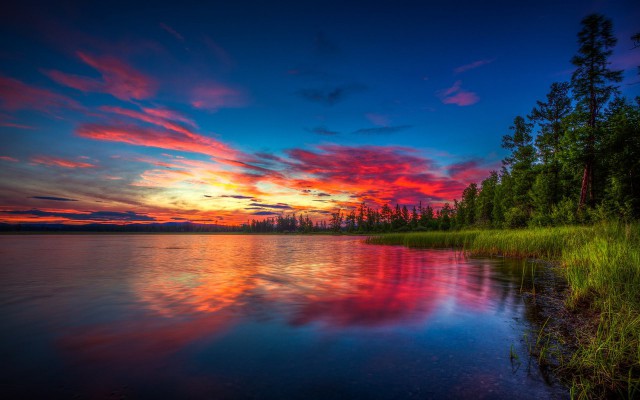 Подборка картинок 20.02.16