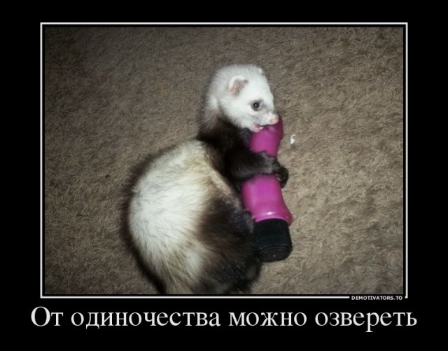 Вот такой улов. И хозяева уроды...