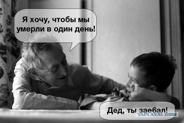 Смешные комментарии 05.06.2016