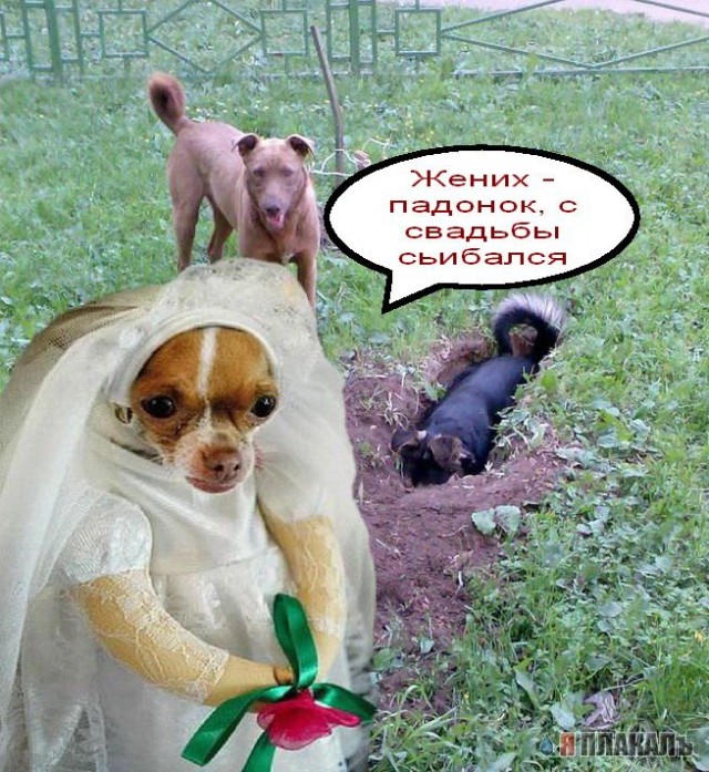 Фотожаба: да здесь где-то недалеко!