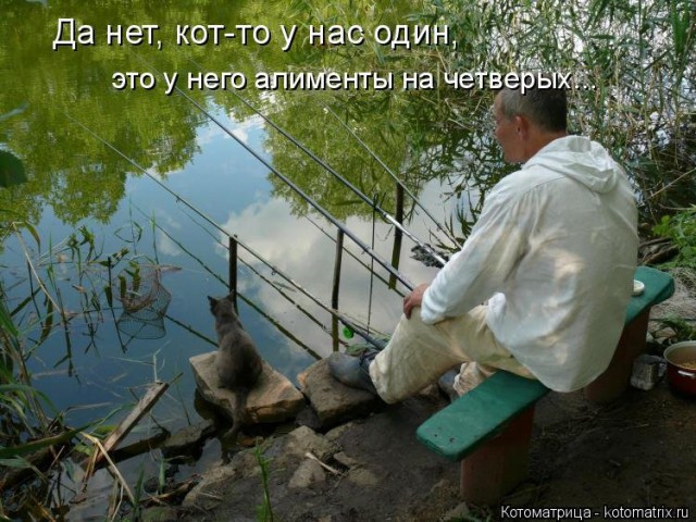 Футбол Чемпионат России 2016-17. Кубок России,РФПЛ,ФНЛ. Часть IV